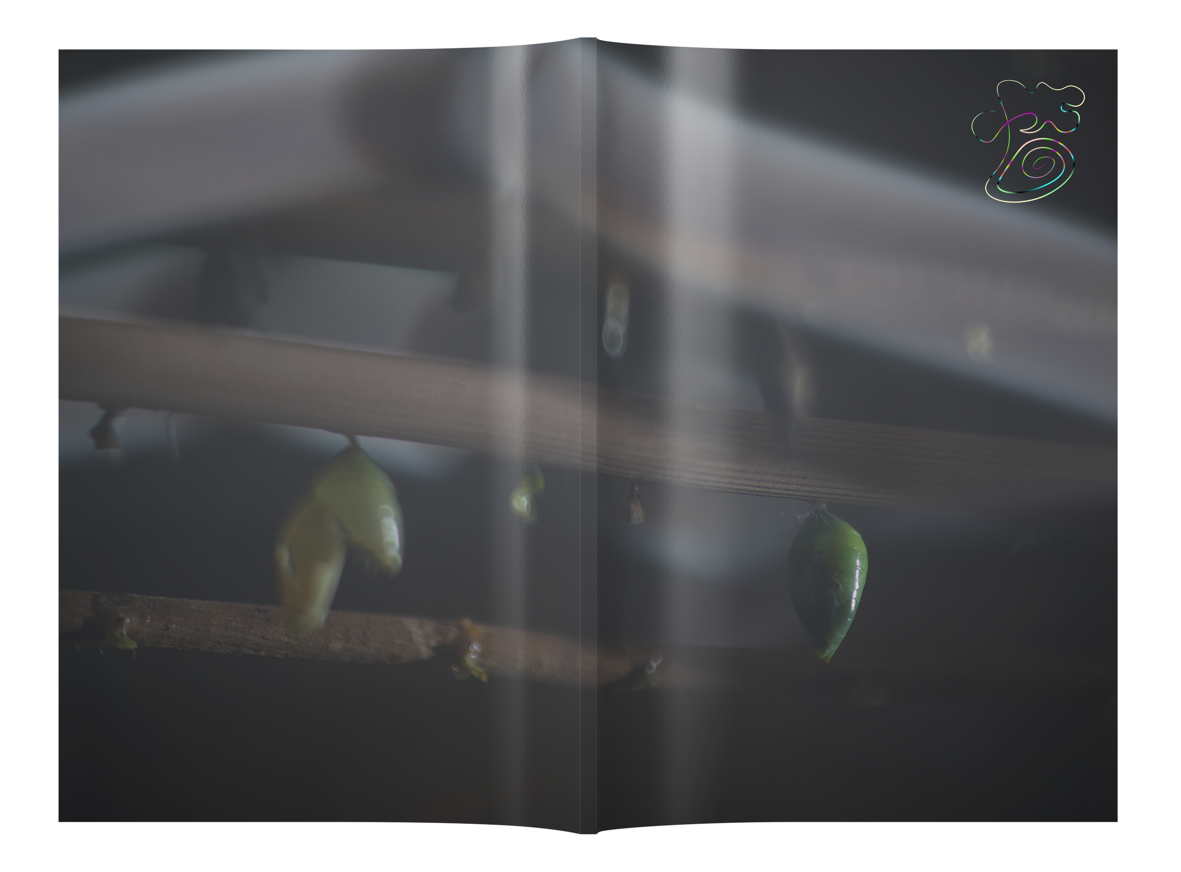 ...See Us Going Places...